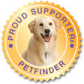 Puppy Adoption