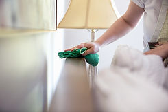 Woman Cleaning Furniture